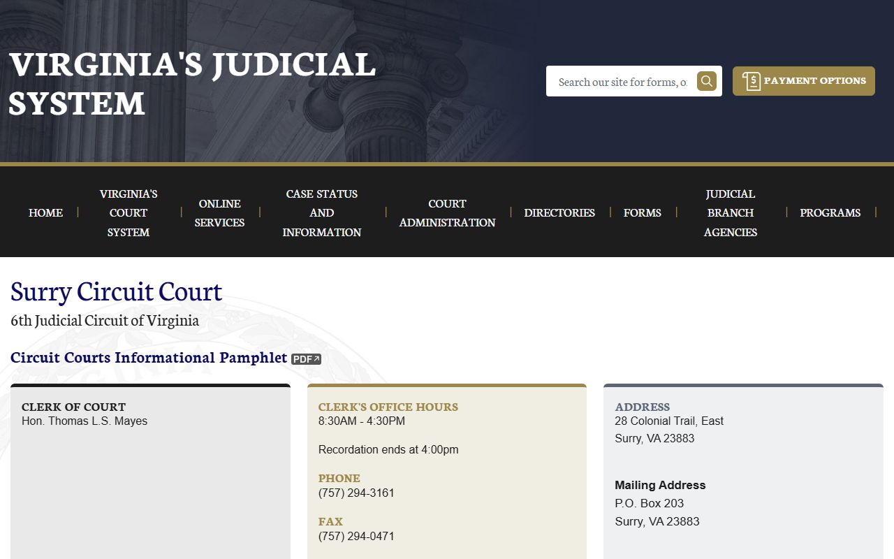 Surry County Circuit Court criminal history records