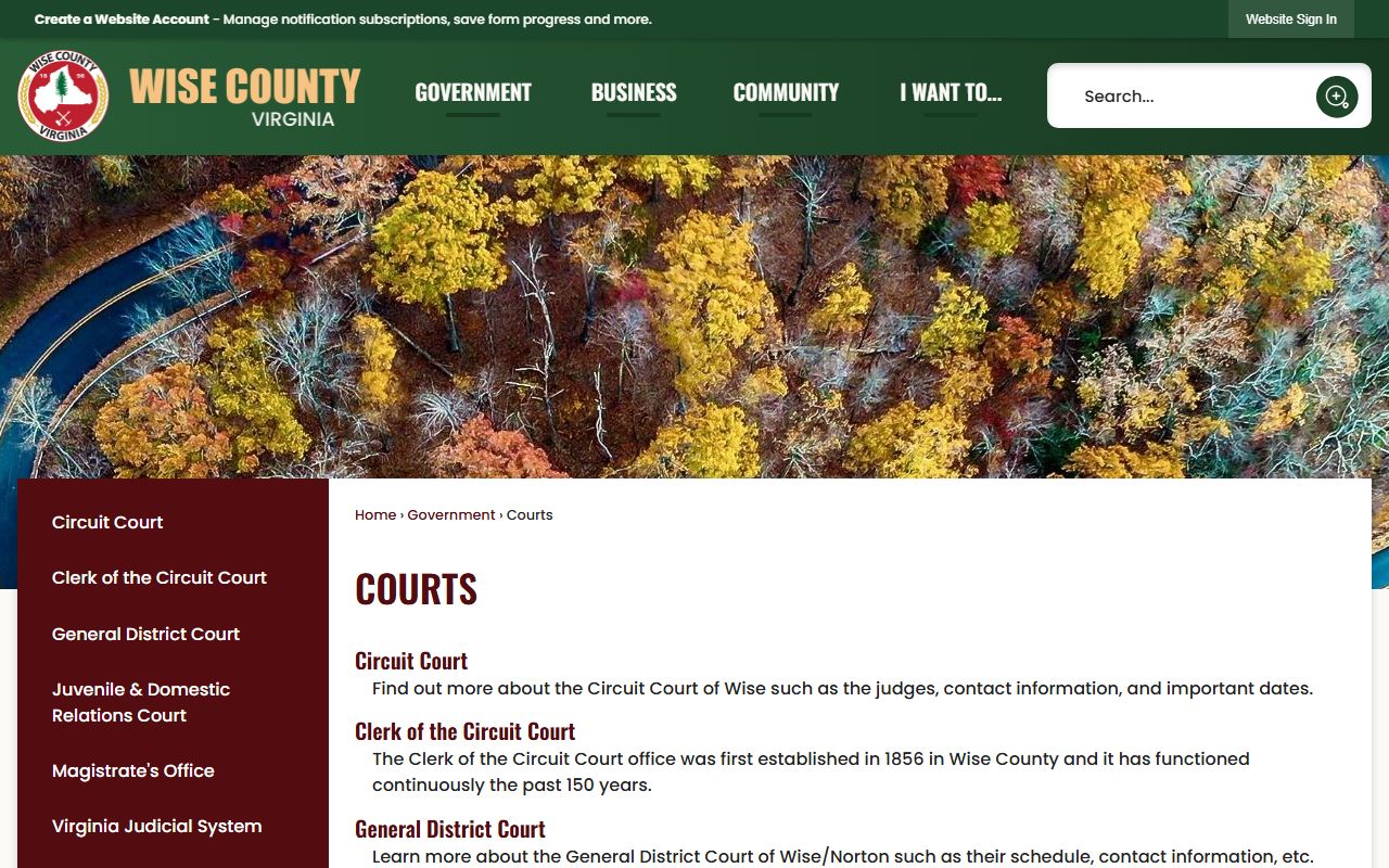 Wise County courts criminal records overview
